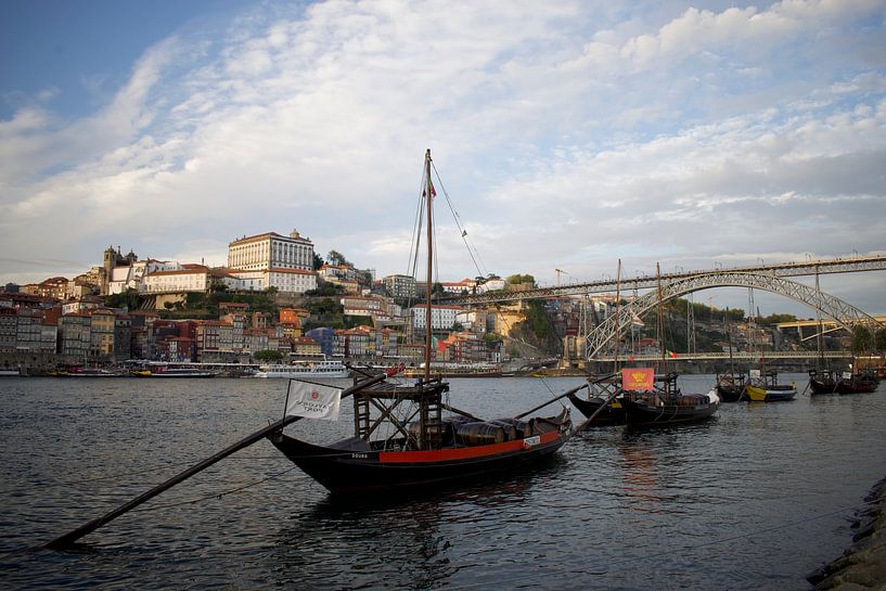 The beautiful bridge in Porto! by Sjardee Visser
