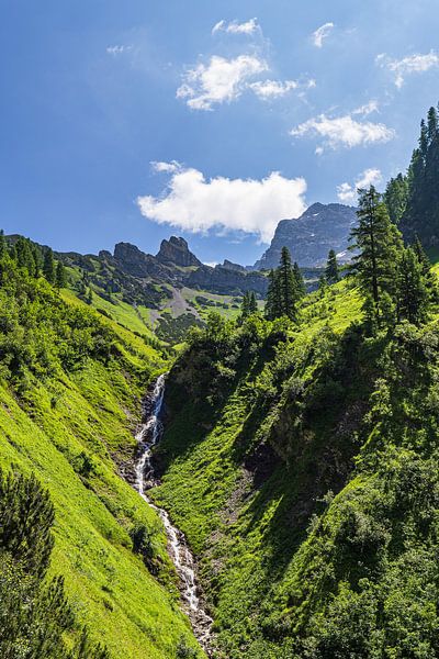 Landschaft  im Rißtal bei der Eng Alm in Österreich von Rico Ködder