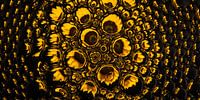 Panorama of a sunflower in drops (yellow)