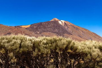 Vulkaanlandschap op de Teide van Alexander Wolff
