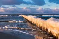 Winter on shore of the Baltic Sea van Rico Ködder thumbnail
