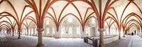 Oud gewelf in het cisterciënzerklooster van Eberbach van Christian Müringer thumbnail