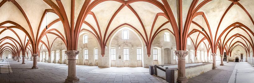 Oud gewelf in het cisterciënzerklooster van Eberbach van Christian Müringer