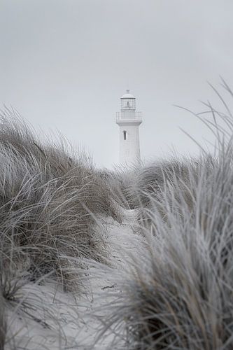 Sea Breeze Enchantment - Lighthouse Splendour in Coastal Landscape