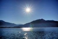 Zonnester Tegernsee
