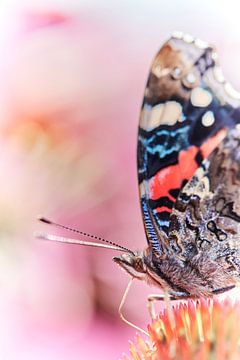 Close-up vlinder van Monique Visser