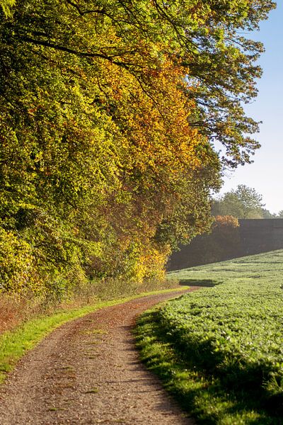 walk in the autumn by Photoart-Naegele