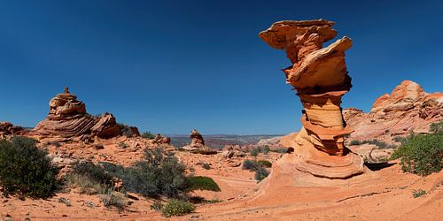 La tour de contrôle dans les Buttes Coyote Sud