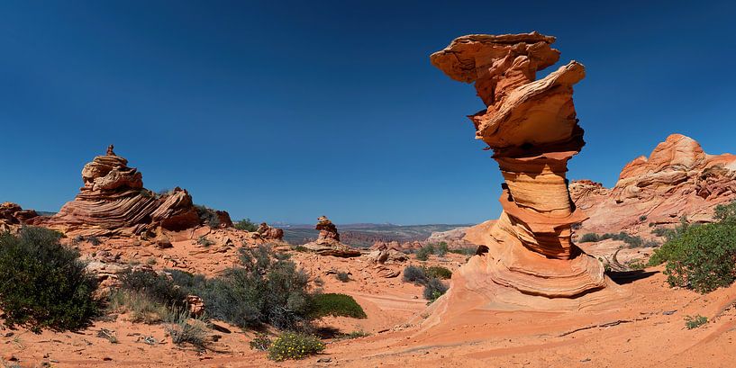 Der Kontrollturm in den Coyote Buttes South von Jan Roeleveld