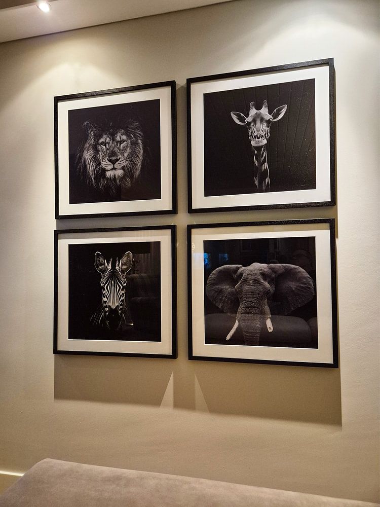 dramatisch zwart witte portret foto weergave van het hoofd van een giraffe die recht in de camera kijkt  van Margriet Hulsker 