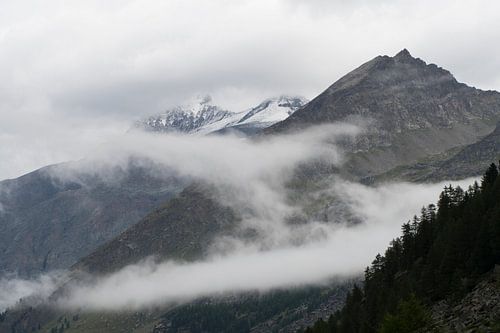 Bergen in de wolken.