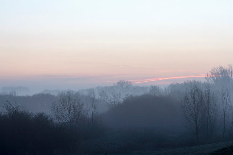 misty morning by ton vogels