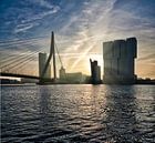 Panorama Rotterdam skyline Manhattan aan de Maas. van Hille Bouma thumbnail