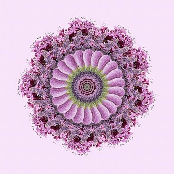 Guirlande de fleurs lilas