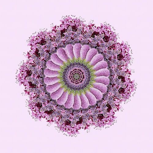 Bloemenkrans Lila