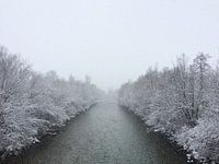 Winter Wonderland