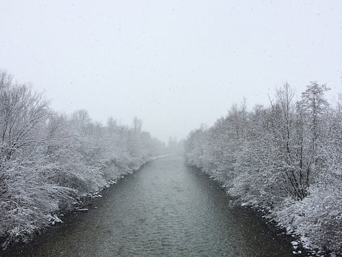 Winter Wonderland