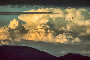 Dans les nuages sur Lars van de Goor