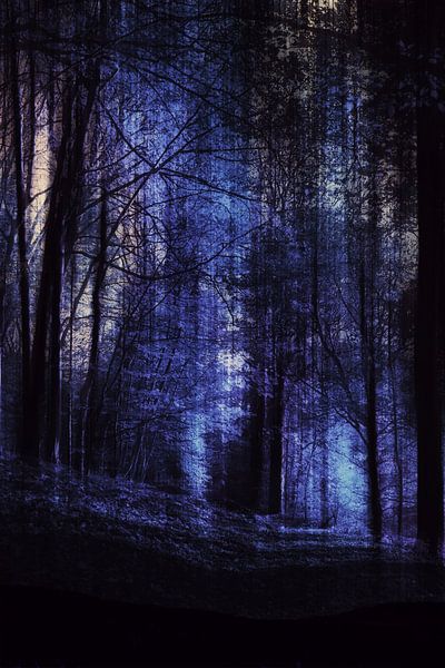 nacht bos,  van Christine Nöhmeier