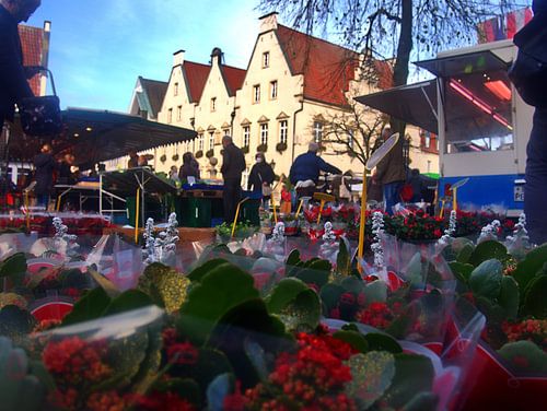 Marktdag
