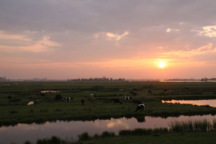 Zonsondergang met koeien  van Ruud Wijnands