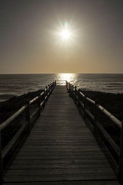 La liberté au bord de l'Atlantique  Le Fishermen's Trail - des falaises dorées, une mer d'un bleu profond et des étendues sans fin.
