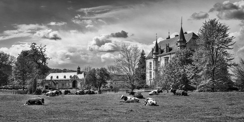 Schloss Schaloen von Rob Boon