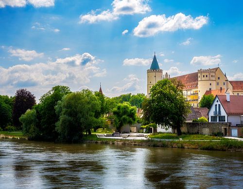 Uitzicht over de Donau naar het oude stadscentrum van Lauingen