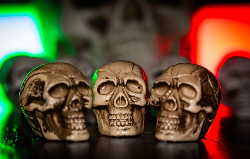 The three by Onno van Kuik
