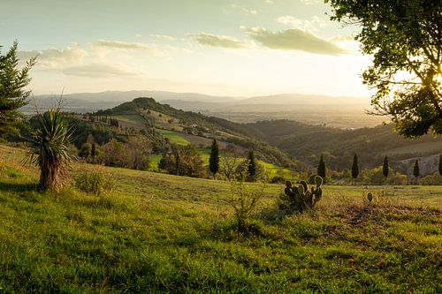 Zonsondergang Toscane in Italië
