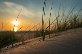 Abendrot in den Dünen von Hargen/Schoorl (Nordholland) von Stadtlandschaften – Rick Van der Poorten Fotografie