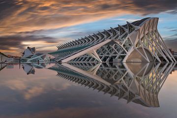 Moderne architectuur van de Stad van Kunst en Wetenschap in Valencia bij zonsopgang