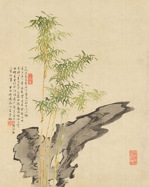 Liang Yuwei - Flowers Pl.05 by Peter Balan