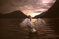 Queen of the lake