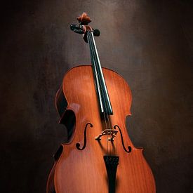 Stilleven Met Cello van Diana van Tankeren