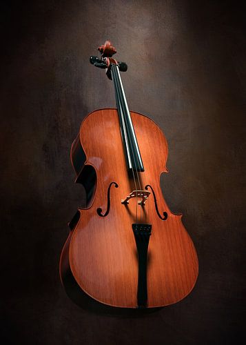Stilleven Met Cello