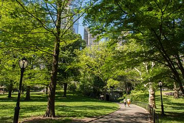 Central Park New York City von Arno Wolsink