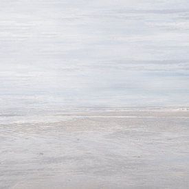 Femme avec chien à Egmond aan Zee sur Marianne van der Zee