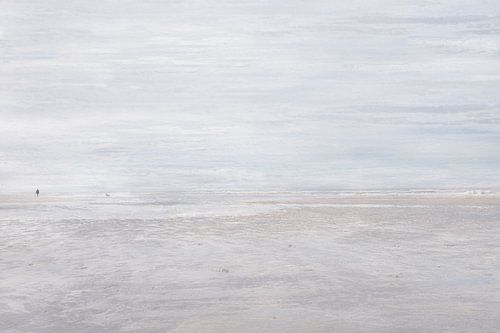 Minimalisme Egmond aan Zee - Wandelen