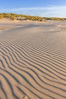 Strand en duinen op West-Terschelling