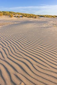 Strand und Dünen auf West-Terschelling