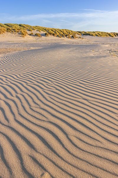 Beach and dunes on West-Terschelling by Sander Groenendijk