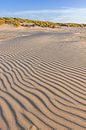 Beach and dunes on West-Terschelling by Sander Groenendijk thumbnail