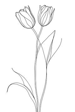 Tulpen, minimalistisch van Ans Bastiaanssen