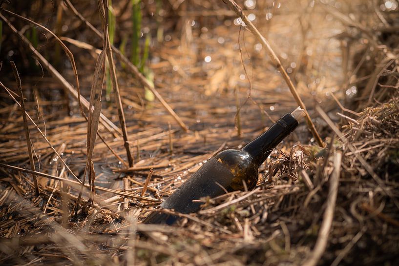 Botschaft in einer Flasche von Mariette Kranenburg