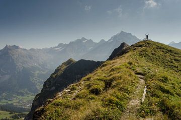 Op de top met uizicht op Bluemlisalp in het Berner Oberland van Sean Vos