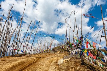 Prayer flags on the top of a mountain (Chelela Point) in central Bhutan, Asia by WorldWidePhotoWeb