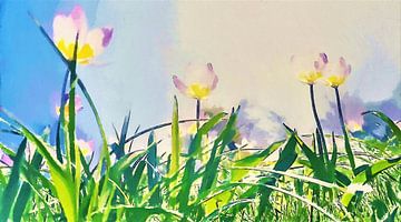 Helle Tulpen unter der Sonne und blauem Himmel über grünen Grashalmen - Digital Art von Dicky
