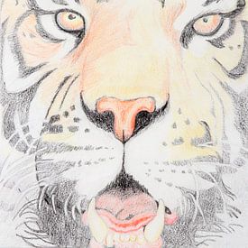 Tiger von Renée Prevoo