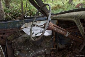 Bœuf en voiture au cimetière en forêt de Ryd, Suède